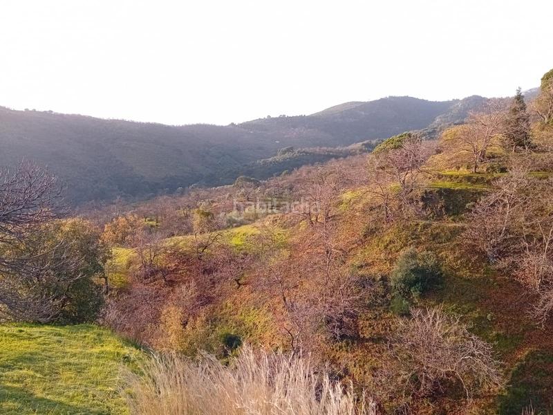 Foto 6f244a6f-ad64-405c-911c-d8e39a74d8f1. Finca rústica a Yunquera