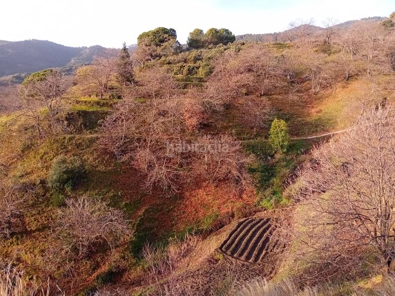 Foto a1cdc92f-8a8f-49fd-89a7-abb82d93629f. Finca rústica a Yunquera