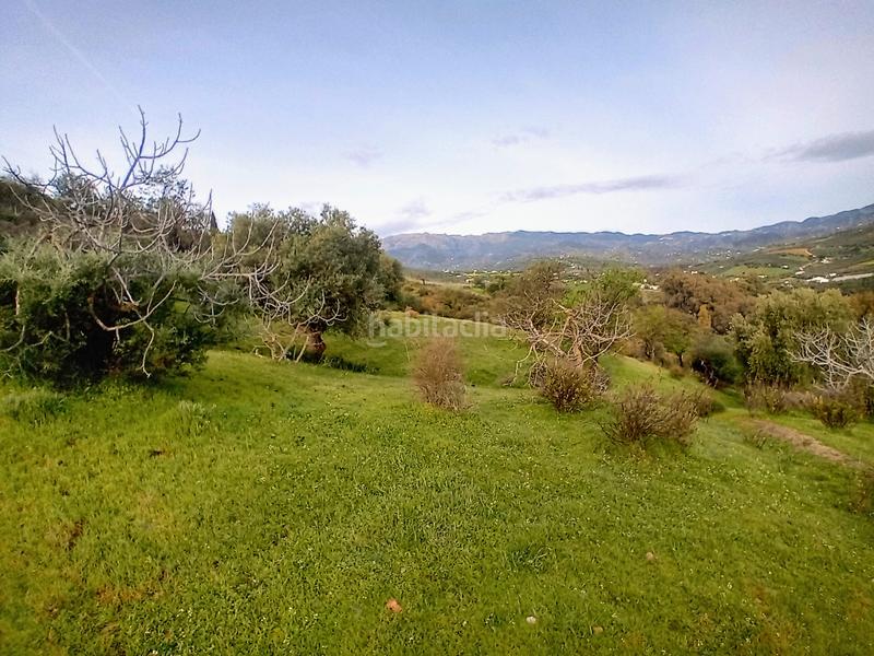 Foto 76cd6377-10f5-485a-8e59-9975dd2c4baf. Casa amb aparcament a Guaro