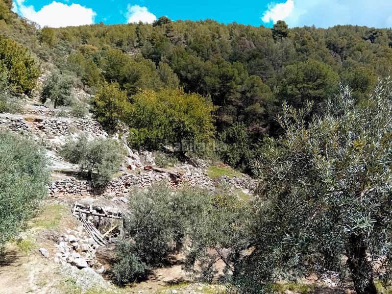 Foto 0281bfd2-4208-4bb2-964b-c5f21b0674d7. Fondo rustico in Alozaina