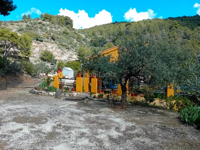 Foto b1bc955a-28f8-4154-867e-672f9c8ec948. Fondo rustico in Alozaina