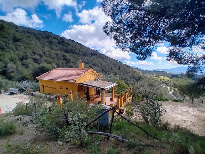 Foto bee7d8bc-e0e0-4745-8a52-c123e4cb7433. Fondo rustico in Alozaina