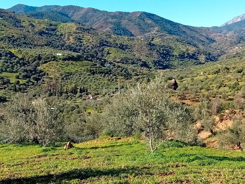 Foto 6dea1ed8-680a-4549-a960-749a3cf67822. Fondo rustico in Tolox