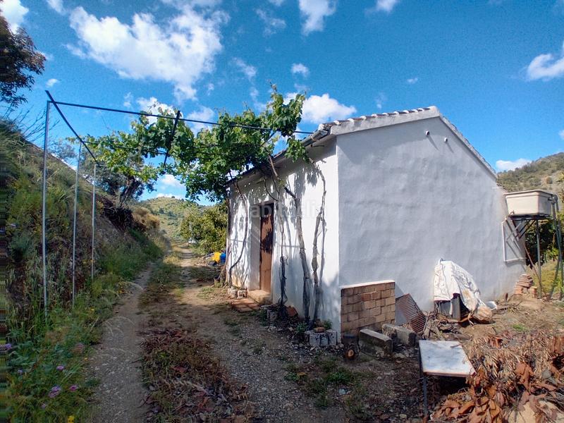 Foto 5ce47cd5-9ded-4903-b6d8-535e11049871. Landgut in Yunquera