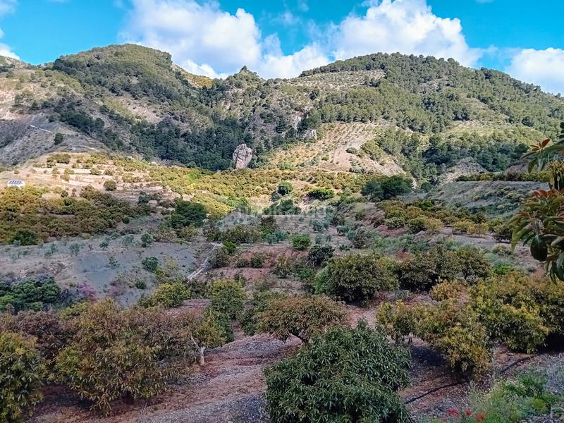 Foto 7f5e10e8-2cb4-4a85-b44f-cc88efc9de13. Landgut in Yunquera