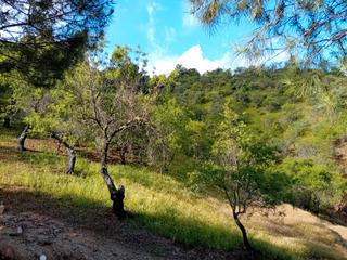 Finca rústica a Monda. Se vende precioso terreno en monda – 19.514 m² de naturaleza y t