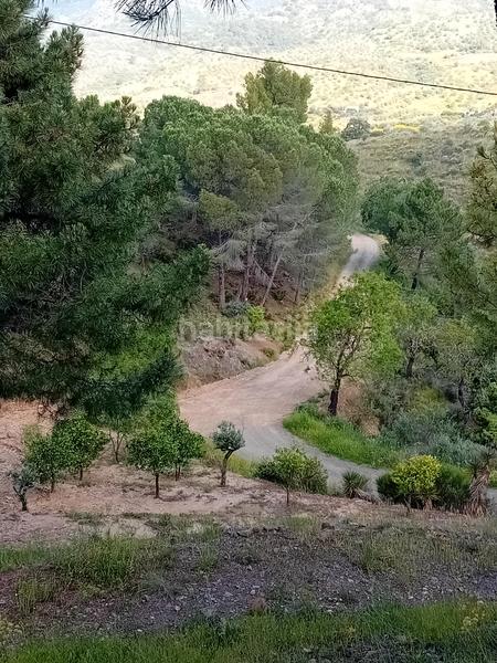 Foto 278fef70-e107-497c-bfec-6fb67435db99. Fondo rustico in Monda