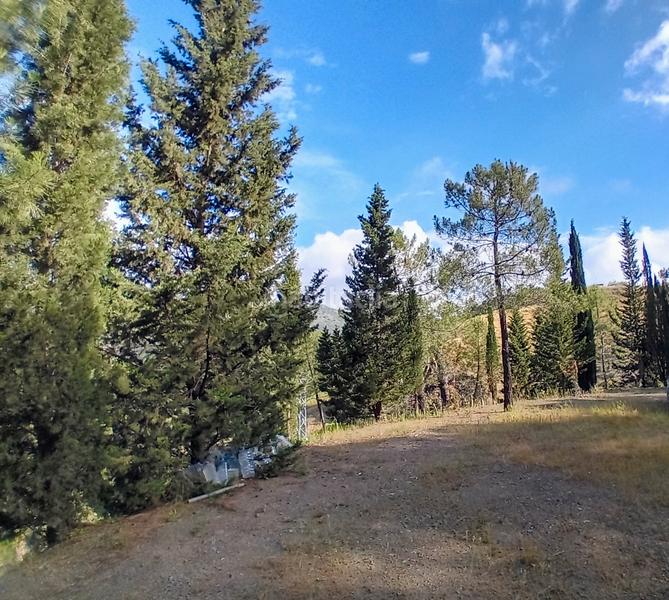 Foto 43ee25b5-8ef7-4741-809b-5c9fb2f34407. Fondo rustico in Monda