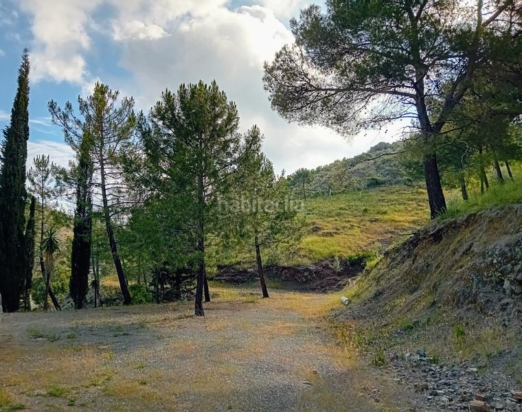 Foto 445792aa-88a5-4379-9b6f-cb5dc81d150f. Fondo rustico in Monda