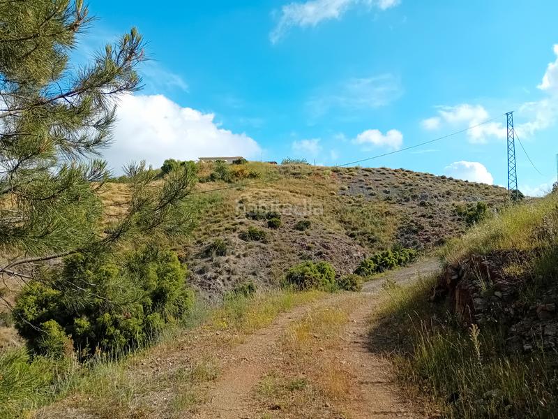 Foto 861e5687-096b-411b-ab9b-394fa654f2c5. Fondo rustico in Monda