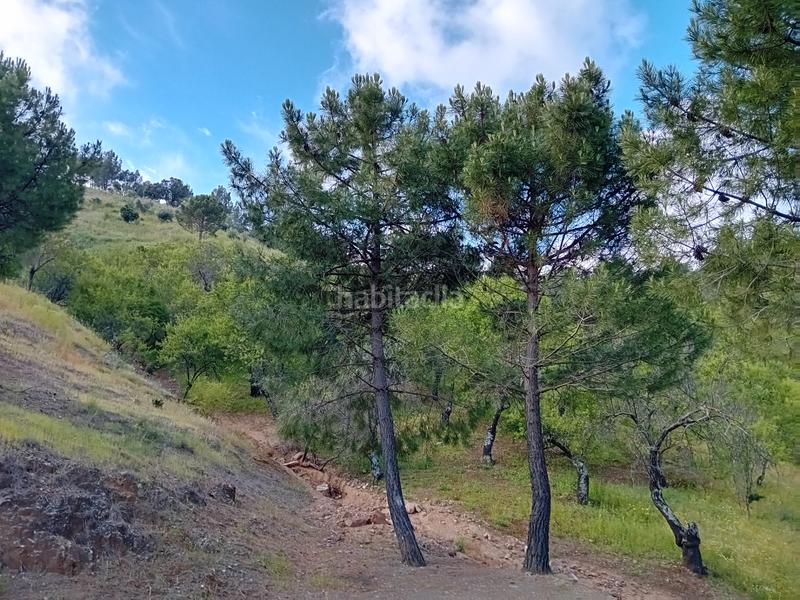 Foto c2145fc6-bbf8-4076-85ef-312888873ab0. Fondo rustico in Monda