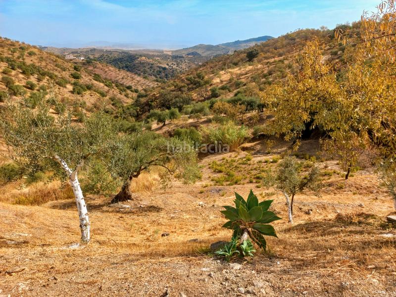 Foto a5257e09-9c9d-4b84-b9b8-c0f7e2065fb6. Chalet in Tolox