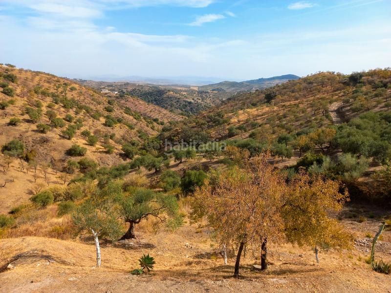 Foto e093493d-1ccb-4070-8796-17e1ef6a154b. Chalet in Tolox