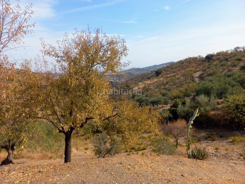 Foto fc5d6f72-339e-49cb-bc5a-7b17f38e906c. Chalet in Tolox