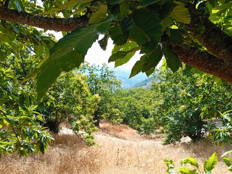 Foto 458104da-2736-4897-a7ce-387f4fc678a9. Landgut in Yunquera