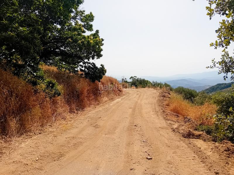 Foto 8465d19d-2cfa-4e9c-9a7d-afe8443f9ace. Landgut in Yunquera