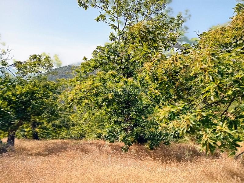 Foto 8e79864d-86cc-47ce-bc10-878d69e3b65f. Landgut in Yunquera