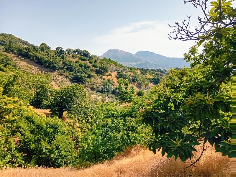 Foto 996c5d02-a268-42e1-92a0-341c38bc4b92. Landgut in Yunquera