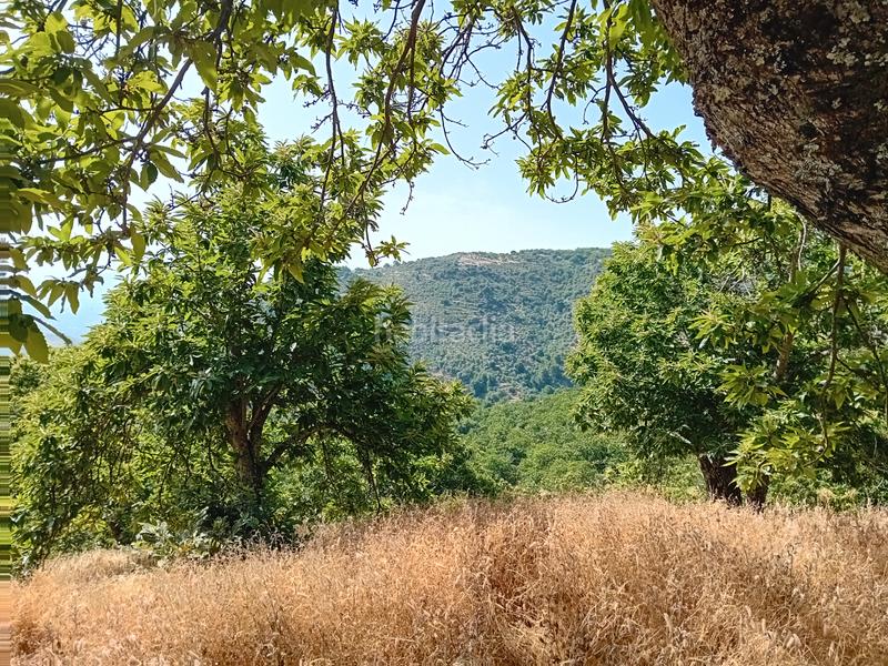 Foto b5798df1-d078-4b3b-a735-ce92a5d4a9c9. Landgut in Yunquera