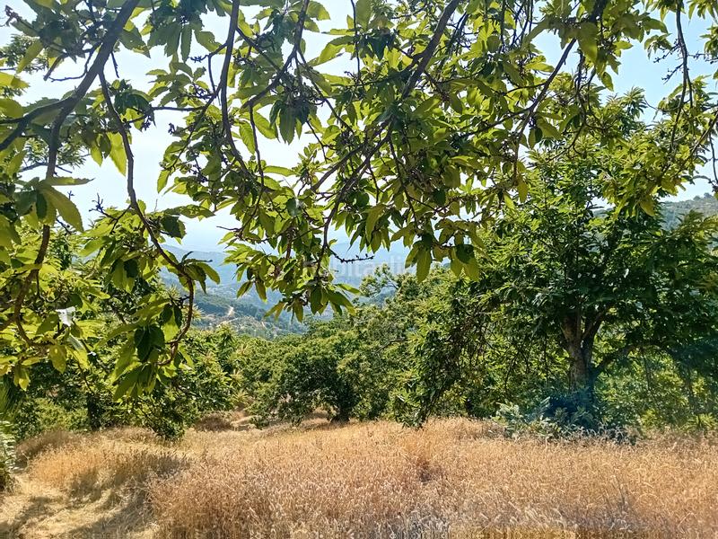 Foto fe4b1379-2cf4-4572-9cbf-9a5143e100bd. Landgut in Yunquera