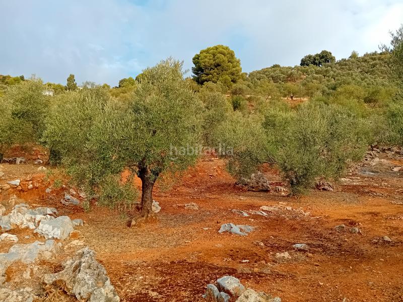 Foto 3df7aacc-4ea5-43f0-84d8-84de9e1f16c1. Finca rústica a Yunquera