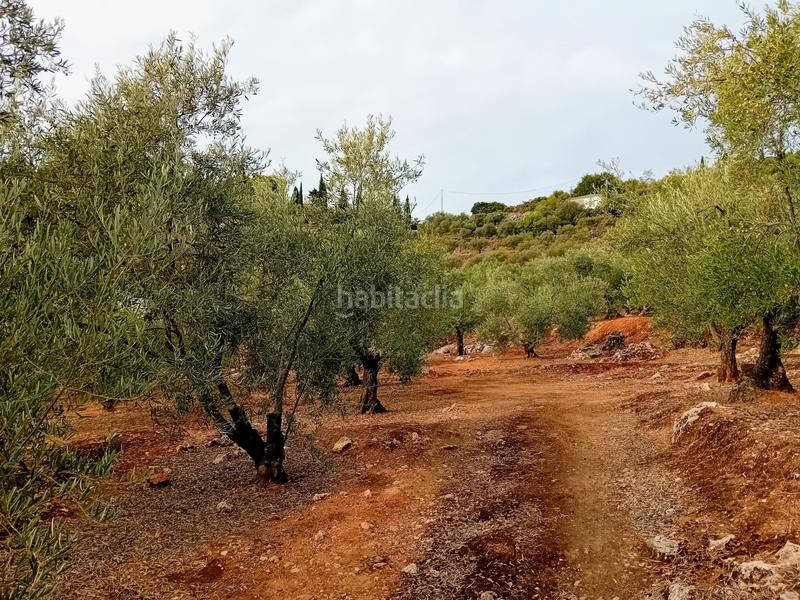 Foto 733510a3-e368-4abb-91c0-fca537618a38. Finca rústica a Yunquera