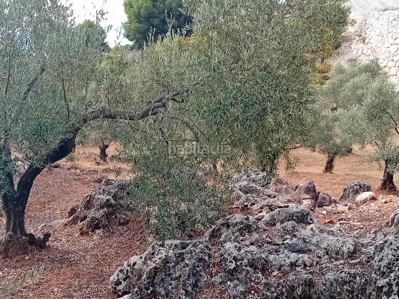 Foto 7df0c25d-1a84-44e9-a5b5-3ccc765fbfe1. Finca rústica a Yunquera