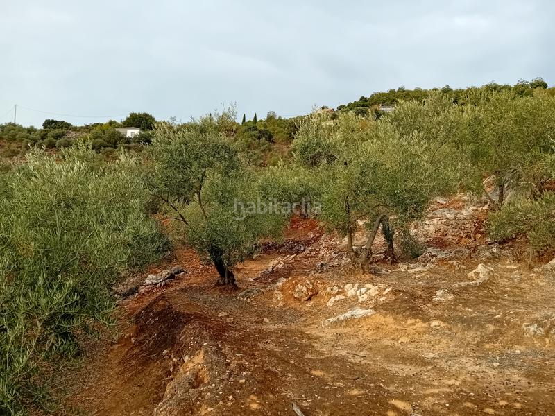 Foto 8d07b286-d231-4246-a4bd-33131e6e2b7b. Finca rústica a Yunquera