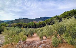 Finca rústica a Diseminado diseminados 85. Oportunidad única en yunquera – parque nacional sierra de las ni