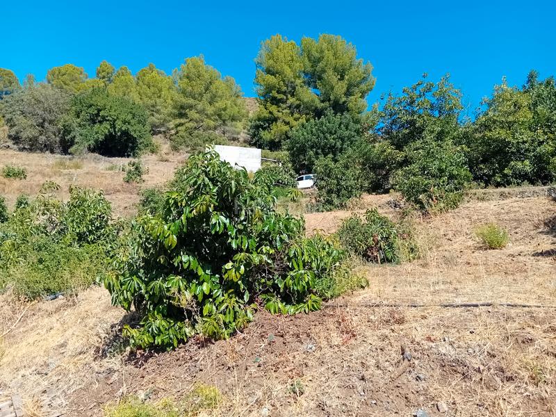 Foto 2e63cf05-f30a-42bf-85a6-d60b3d6211d9. Fondo rustico in Yunquera