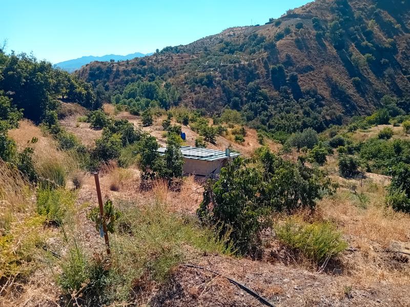 Foto 3e34dd10-263b-405d-ae1f-12f8b0e98518. Fondo rustico in Yunquera