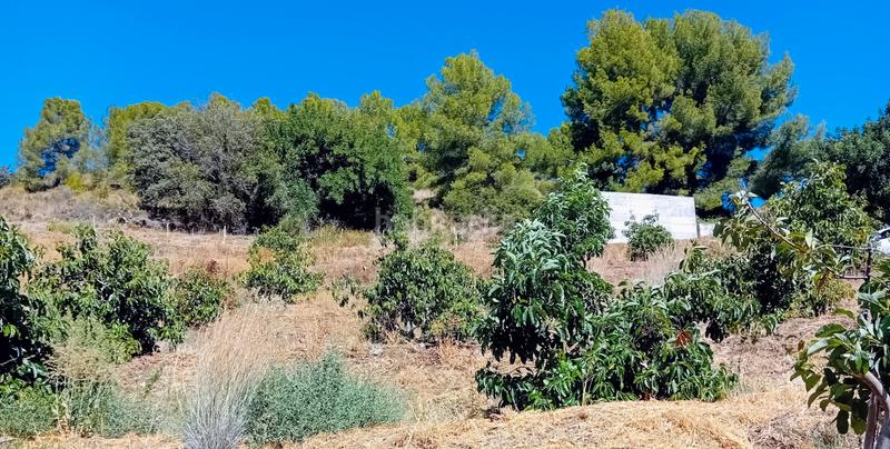 Foto 858ca552-ac0a-4327-b935-72efef6cfdd3. Fondo rustico in Yunquera