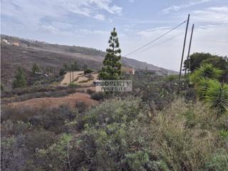 Terreny residencial a Vilaflor. Estupendo terreno rústico ubicado en ifonche, vilaflor