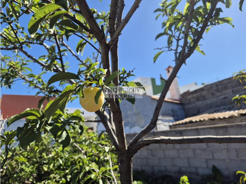 Foto 2018d7a7-dd2b-40ef-a712-e3185487e3a4. House in Santiago del Teide pueblo Santiago del Teide