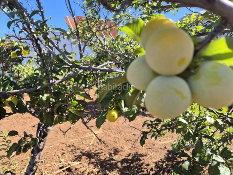 Foto 3901c3da-2d65-48d6-9162-e630b9e45d8d. House in Santiago del Teide pueblo Santiago del Teide