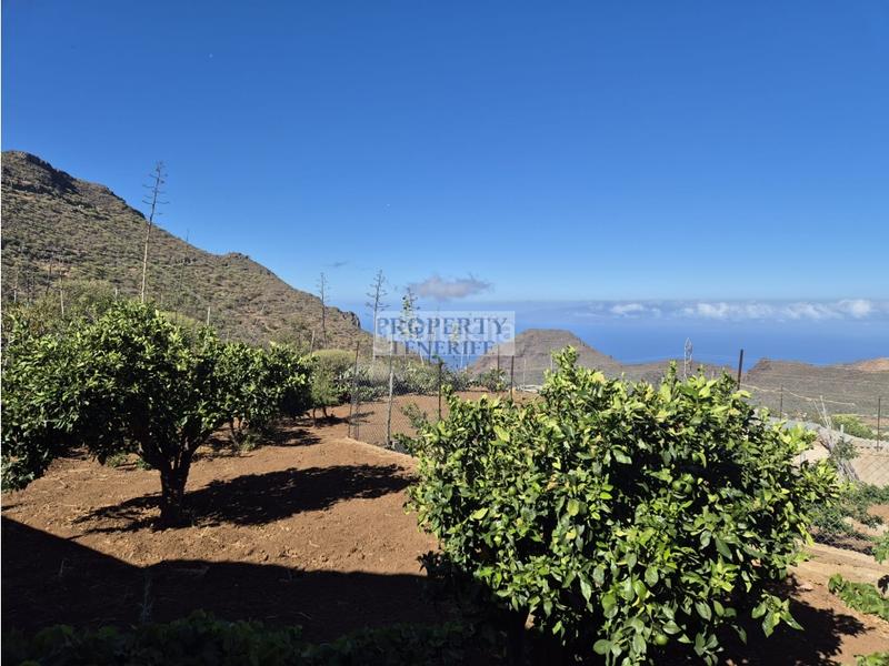Foto cc55ef28-2c2e-4287-bd18-356fe1a61bfe. House in Santiago del Teide pueblo Santiago del Teide