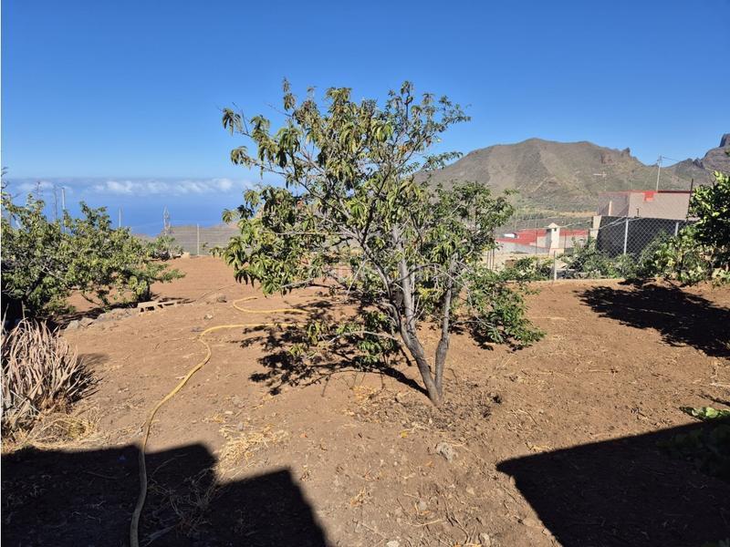 Foto e75e8219-81dd-4c52-94cb-d34ff860def7. House in Santiago del Teide pueblo Santiago del Teide