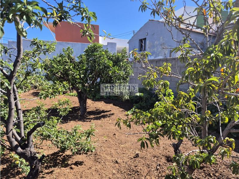 Foto f7461a00-4349-4788-bba6-ef82c0b1430a. House in Santiago del Teide pueblo Santiago del Teide