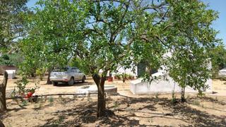 Masia en Carmona. En venta parcela cerca zoologico