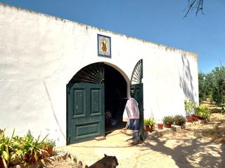 Mas à Carmona. En venta parcela cerca zoologico