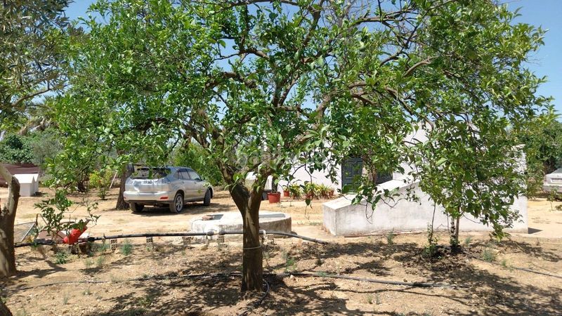 Foto 69d69102-1717-4742-b20e-ac354f15e1db. Masia a Carmona