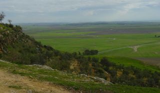 Landgut in Carmona. En venta 4,5has de tierras muy cerca de la vega de carmona