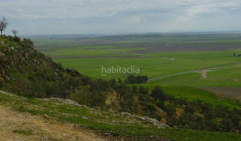 Foto 77a6d33a-9522-4335-84a9-79e313bd66b2. Finca rústica a Carmona