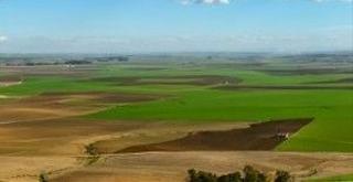 Propriété à Carmona. Tierras en la vega, de regadio
