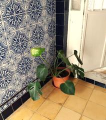 Haus in Carmona. Casa en venta en planta baja zona inmejorable