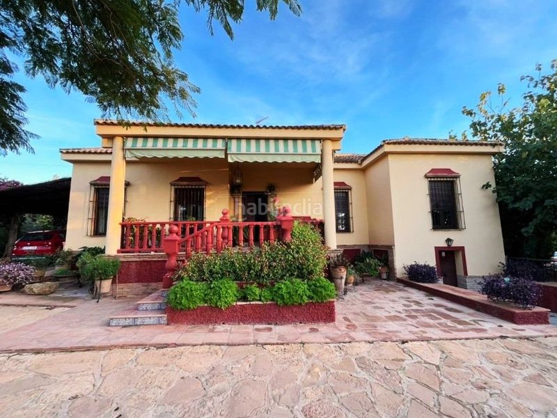Foto 27bf7495-f304-4fa8-9d4c-acd9fb7ab163. Terreny residencial a Carmona