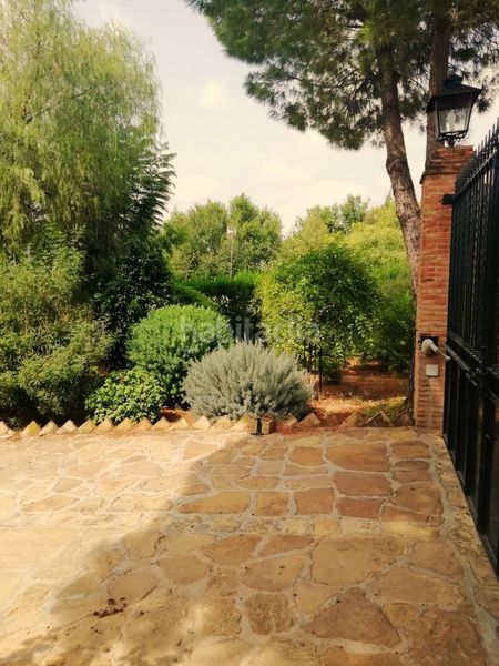 Foto 749b77fc-2d38-43fc-a89d-7bc709873168. Terreny residencial a Carmona