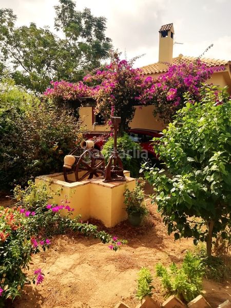 Foto 76ff7886-cc0b-4e2b-b9e0-caafaca12952. Terreny residencial a Carmona