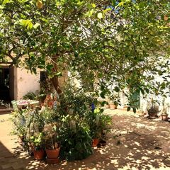 Haus in Carmona. En venta casa en el real de 600m2 de parcela