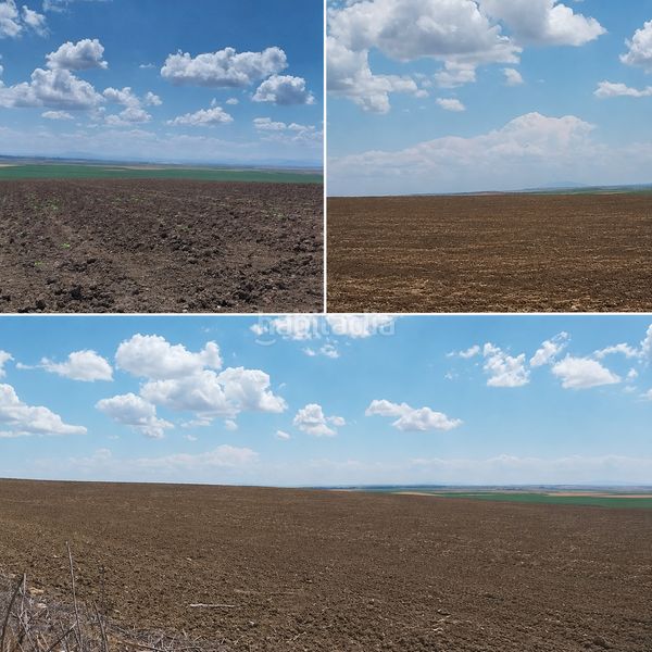 Foto b8b184fa-ba22-4528-9140-bd76d8aa7ebd. Finca rústica a Carmona
